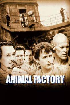 Animal Factory wiflix