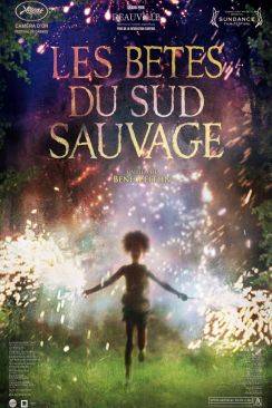 Les Bêtes du sud sauvage (Beasts of the Southern Wild) wiflix